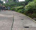 Pavement
